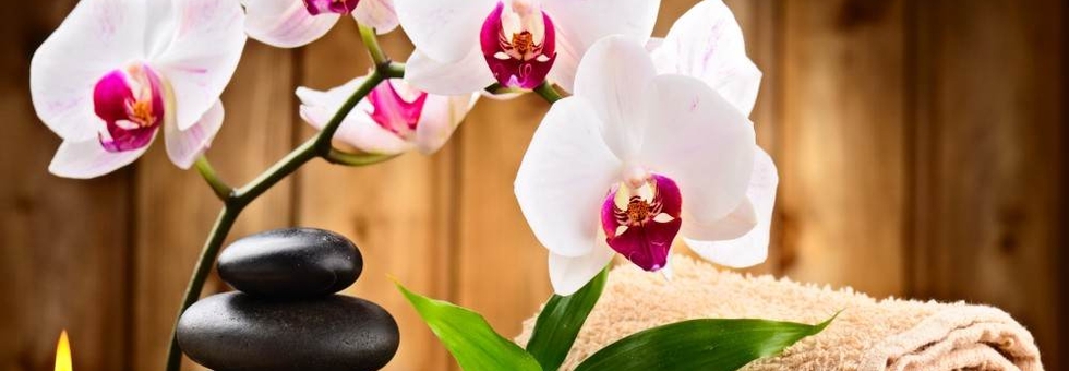 SPA-процедуры: расслабление на благо красоты и здоровья